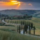 Day to Night Time Lapse of Tuscany valley winding road with cypress tree, Tuscany, Italy - VideoHive Item for Sale