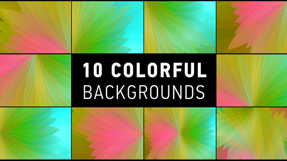 10 Colorful Petals Backgrounds