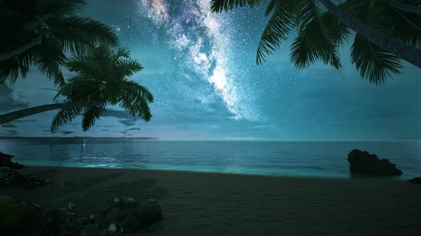 Beach at night with stars 4K