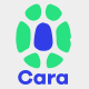 Cara - Multipurpose Responsive App / Sass Landing Template - ThemeForest Item for Sale