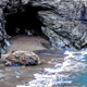 Ocean Waves 7