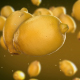 Flying Lemon - VideoHive Item for Sale