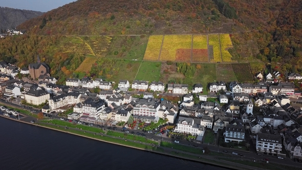 Flight Over Cochem Town and Vineyards, Germany