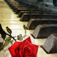 Dramatic and Emotional Piano - AudioJungle Item for Sale