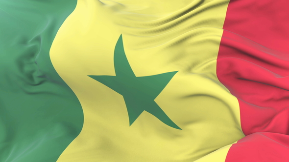 Senegal Flag Waving