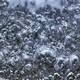 Boiling Water