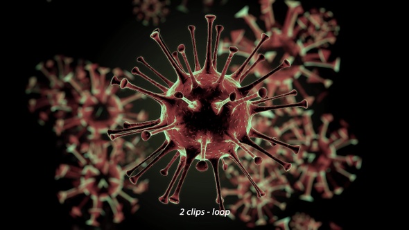 Virus Closeup