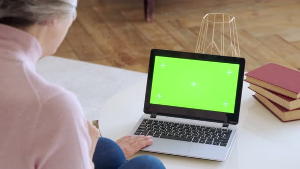 Elderly Mature Woman with Gray Hair and a Video Call on Her Laptop. Laptop with a Green Screen