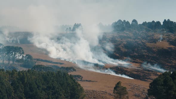 Wild Fire in the Mountains in Brazil