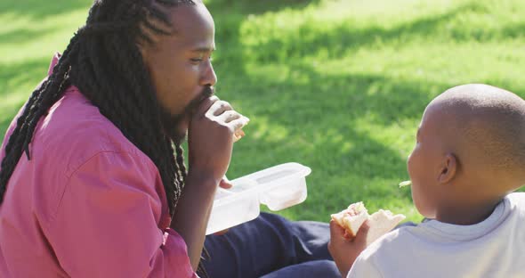 Video of happy african american father and son having picnic on grass