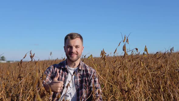 A Farmer in the Middle of a Soybean Field