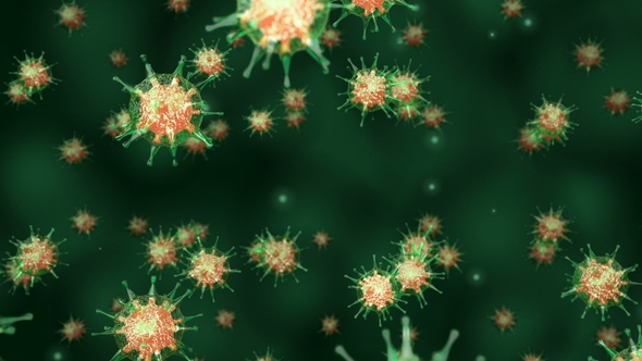 Green Viral Cells Moves in a Liquid Environment alt