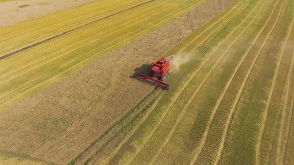 Aerial of Red Combine Harvester Working on Large Wheat Field