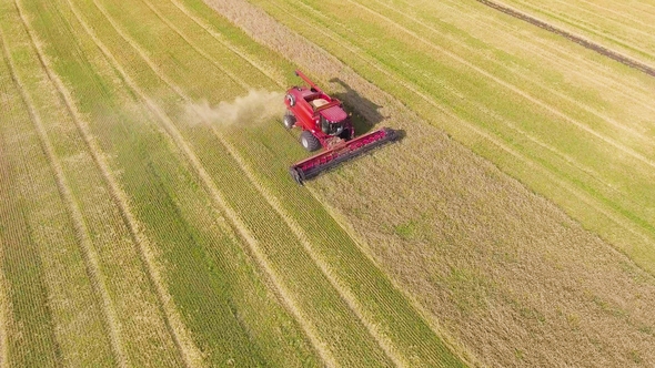 Aerial of Red Combine Harvester Working on Large Wheat Field