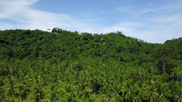 Aerial View of Private Secluded Villas on Tropical Island in Remote Location Among Green Palm Trees