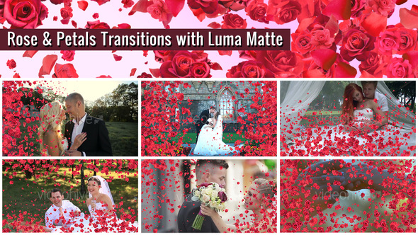 Rose and Petals Transition with Luma Matte – 7 Variations alt