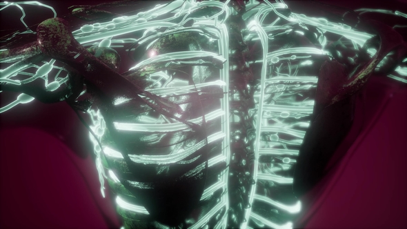 Human Body with Glow Blood Vessels alt