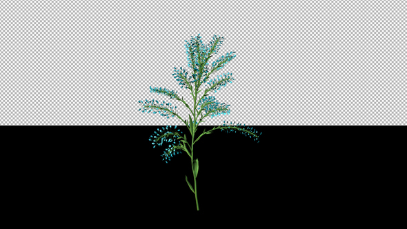 Growing Blue Flower alt