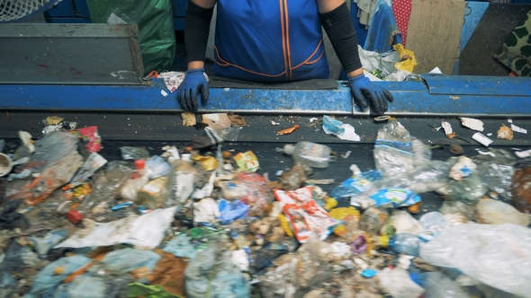A Woman Sorts Trash on a Conveyor, .