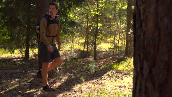 A Hiker Walks Through a Forest