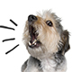 Dog Barking