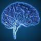 Brain Veins Neurons - VideoHive Item for Sale