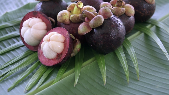 Group of Fresh Exotic Tropical Thai Fruit Mangosteens Rotating on Banana Leaf
