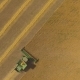 Aerial View on the Combine Working on the Large Wheat Field - VideoHive Item for Sale