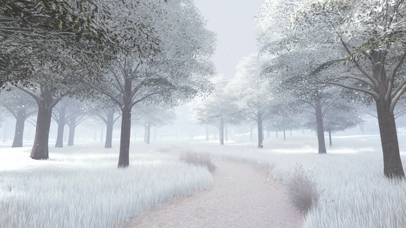 Forest In Winter alt