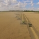 Many Combines Working on the Large Wheat Field - VideoHive Item for Sale