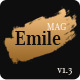Emile - Responsive WordPress Blog Theme With Shop - ThemeForest Item for Sale