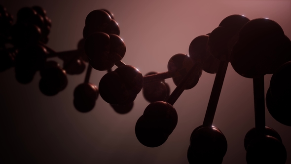 DNA Model Rotate alt