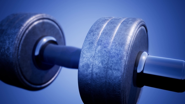 Metal Dumbbell Rotate alt