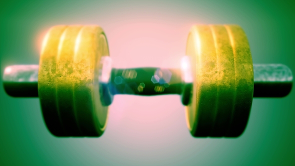 Metal Dumbbell Rotate alt