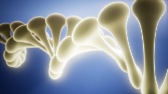 DNA Model Rotate alt