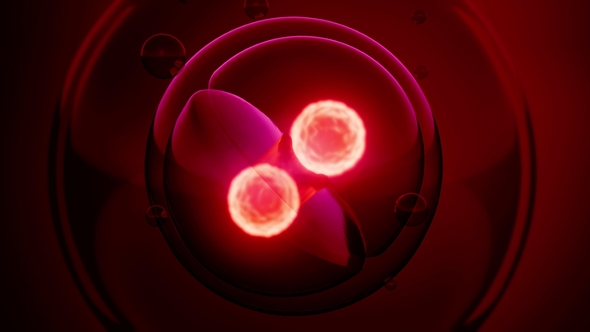 Rotate Cell Division alt