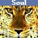Soul