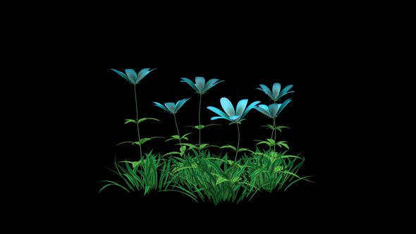 Blue Flower and Grass alt