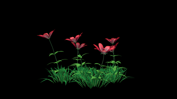 Red Flowers and Grass alt