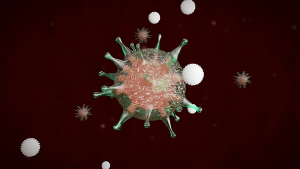 White Blood Cells Attacks a Bacterial Virus Cell