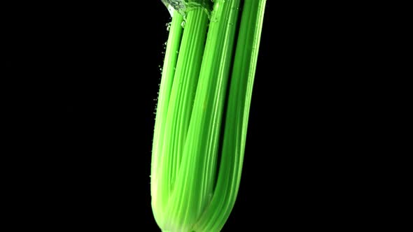Super Slow Motion Celery Falls Under the Water