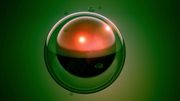 Rotate Cell Division alt