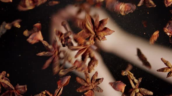 Pouring Star Anise on Glass on Black Background Closeup