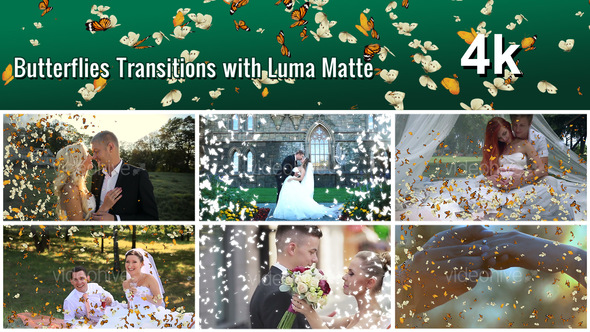 Butterflies Transition with Luma Matte – 7 Variations alt