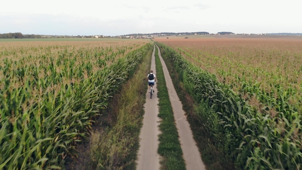 Cyclist Rides Along Country Road Aerial view