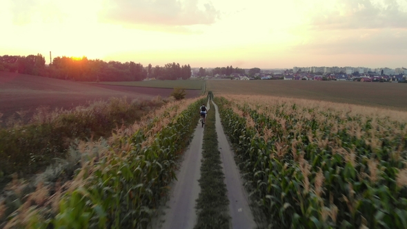 Cyclist Rides on Road in Field