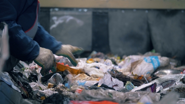 Factory Worker Sorts Garbage on a Line A Worker Sorts Paper on a Moving Line Full of Trash