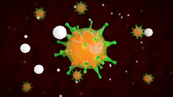 White Blood Cells Kills a Bacterial Viral Cells