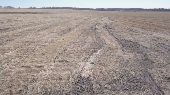 Aerial View of Empty Autumn Field. Rural Area