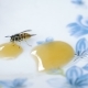Wasp Eating Honey - VideoHive Item for Sale